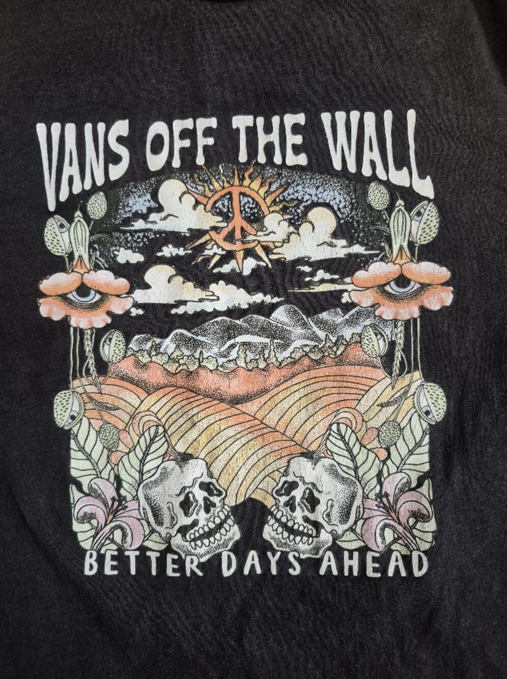Vans Off The Wall Deserted Crew Graphic T-Shirt Skull Peace Sun Black